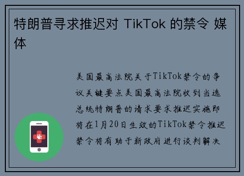 特朗普寻求推迟对 TikTok 的禁令 媒体